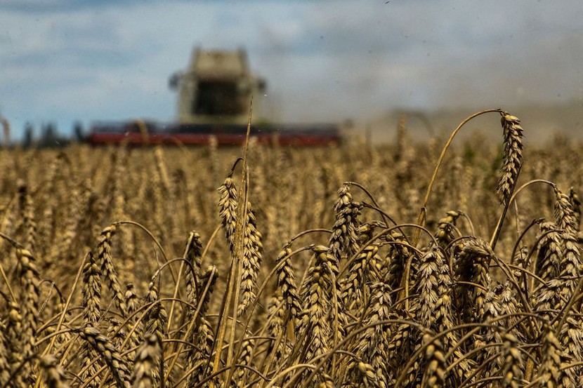 6 tháng xung đột với Nga, xuất khẩu lương thực của Ukraina giảm gần một nửa - Ảnh 1.