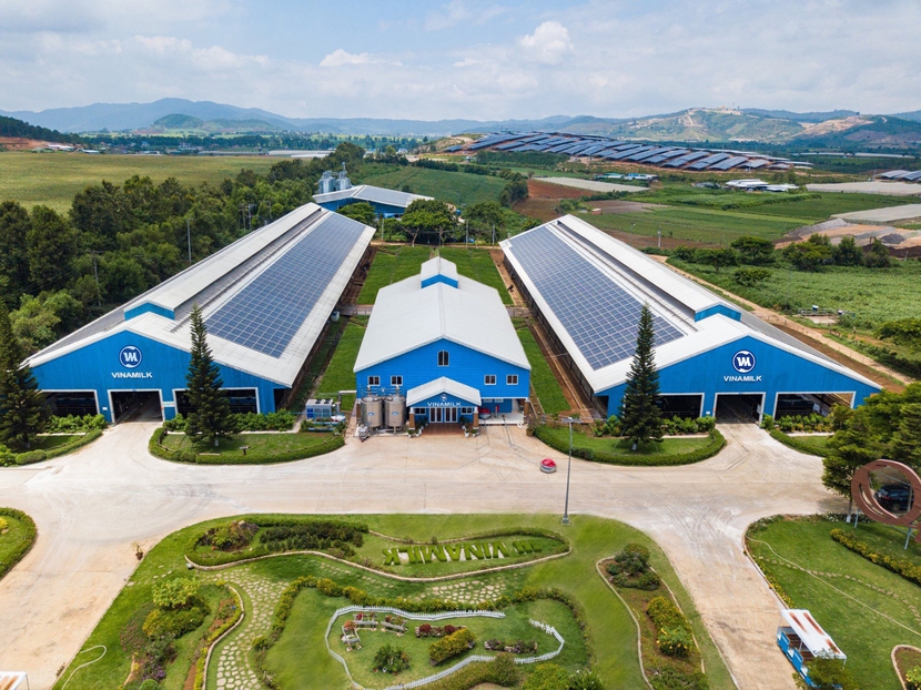 Cụm trang trại bò sữa Vinamilk Đà Lạt được vinh danh tại giải thưởng môi trường Việt Nam - Ảnh 3.