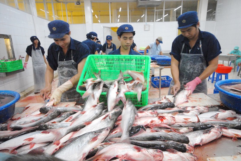 Mỹ giữ nguyên mức thuế chống bán phá giá với cá tra Việt Nam - Ảnh 1.