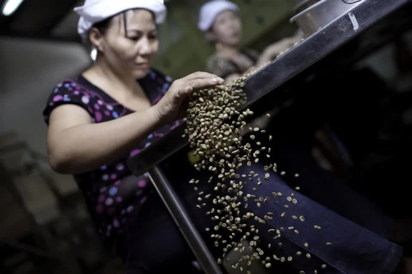 Bão Noru gây ra mưa lớn ảnh hưởng vành đai cà phê của Việt Nam - Ảnh 1.