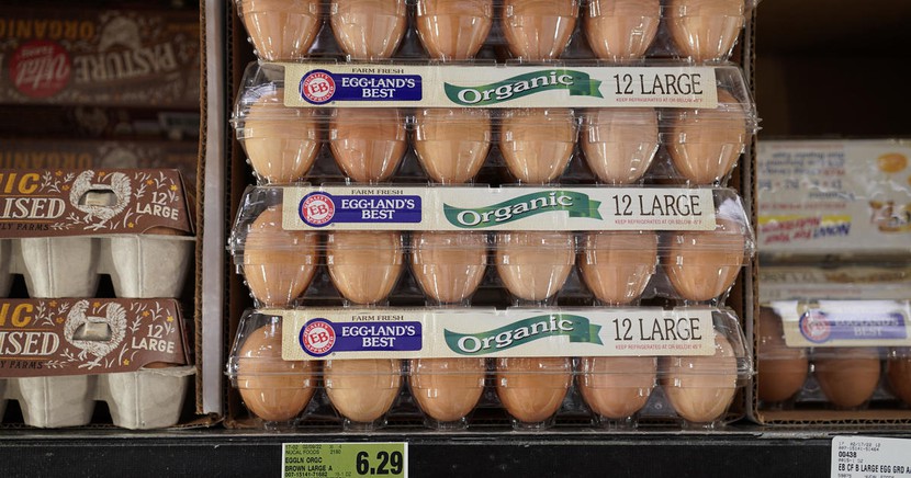 Giá trứng gia cầm đã tăng hơn gấp ba lần tại một số bang ở Mỹ

 - Ảnh 1.