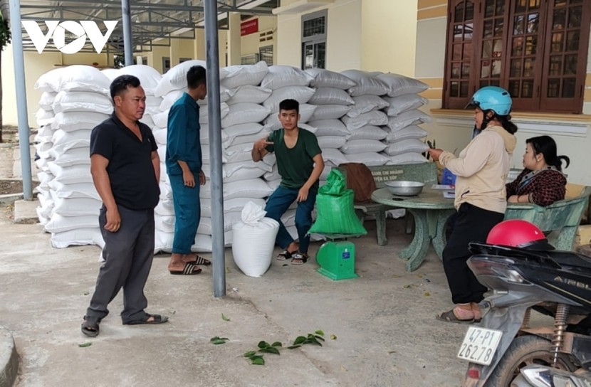 Hỗ trợ hơn 12.000 tấn gạo cho người dân ăn Tết Nguyên đán Quý Mão - Ảnh 1.