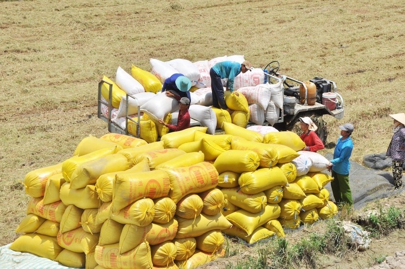 Dự báo xuất khẩu gạo nửa đầu năm 2024 tiếp tục khả quan- Ảnh 1.