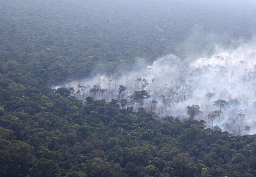 Tác động của hạn hán ở Amazon có thể kéo dài đến năm 2026- Ảnh 7.