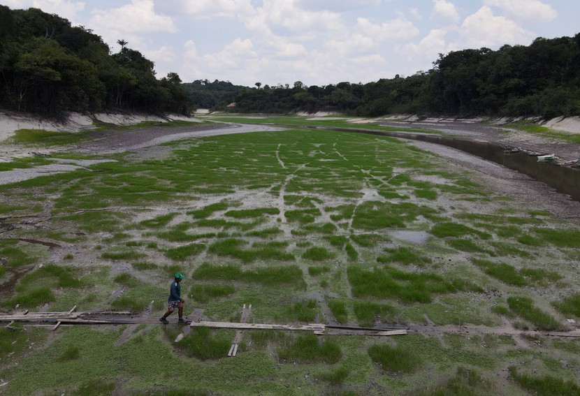 Tác động của hạn hán ở Amazon có thể kéo dài đến năm 2026- Ảnh 2.