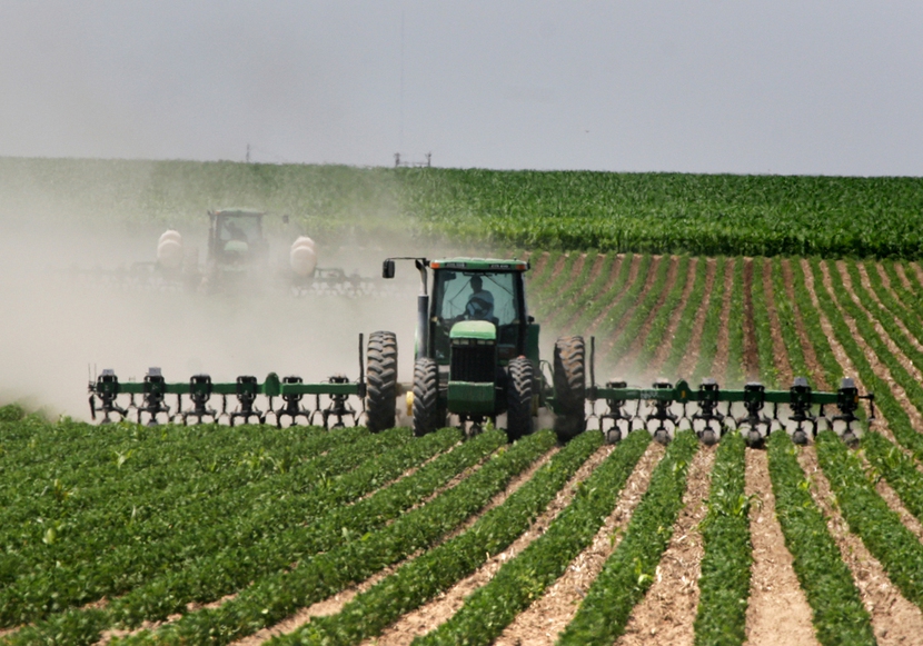 Nông dân Mỹ lên kế hoạch trồng đậu tương lớn vào năm 2024- Ảnh 1.