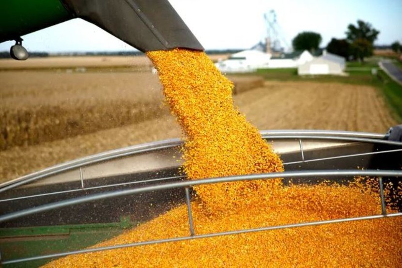 Nông dân Mỹ lên kế hoạch trồng đậu tương lớn vào năm 2024- Ảnh 2.