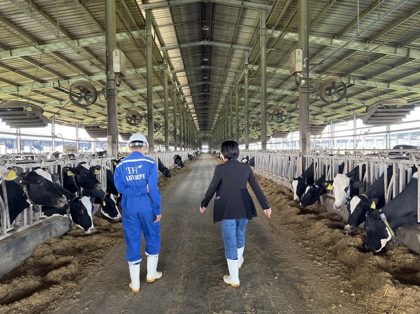 Công ty bò sữa gây ô nhiễm môi trường xử phạt 560 triệu đồng - Ảnh 1.