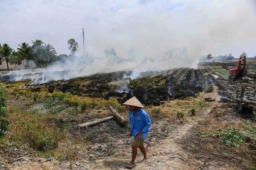 Báo nước ngoài ấn tượng với cách nông dân Việt Nam giảm khí gây hiệu ứng nhà kính - Ảnh 3.