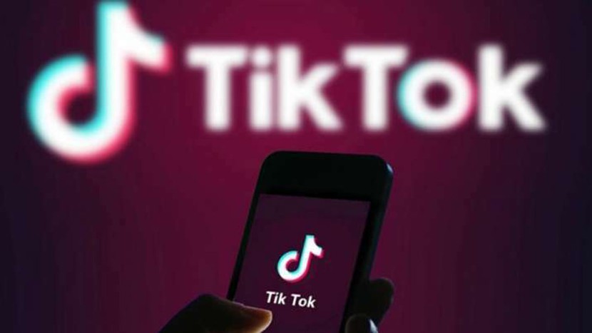 TikTok Việt Nam sắp bị thanh tra toàn diện vì đề xuất nhiều nội dung độc hại - Ảnh 1.