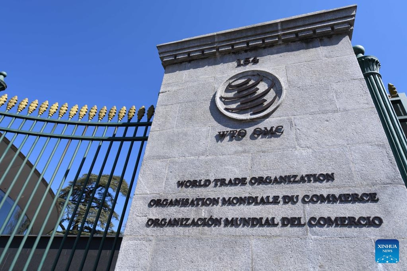 WTO: Tăng trưởng thương mại toàn cầu sẽ 'giảm tốc' trong năm 2023 - Ảnh 2.
