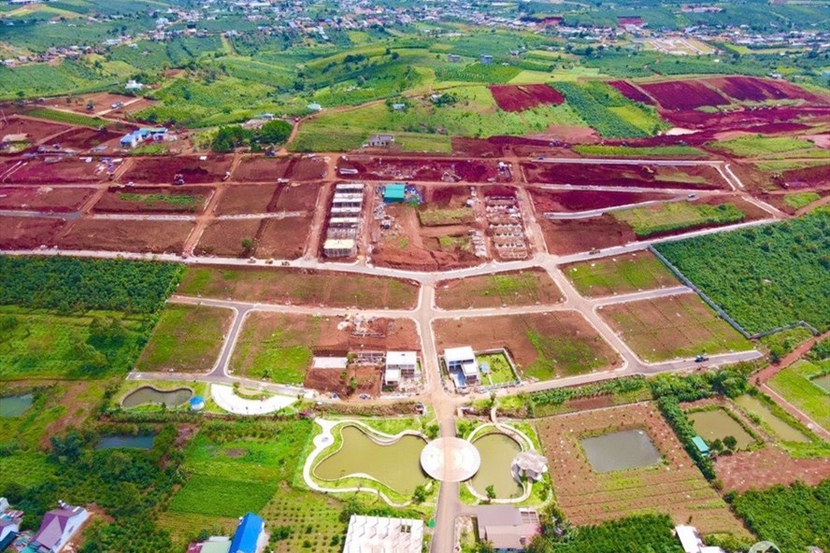 Lâm Đồng bỏ cấm phân lô, tách thửa đất nông nghiệp  - Ảnh 1.