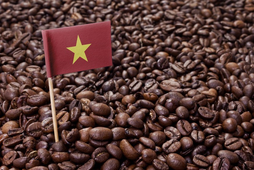 Cà phê Việt: Thách thức vùng giá mới - Ảnh 1.
