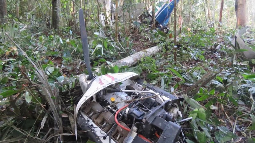 Làm thế nào 4 đứa trẻ có thể sống sót sau một vụ tai nạn máy bay ở Amazon? - Ảnh 3.