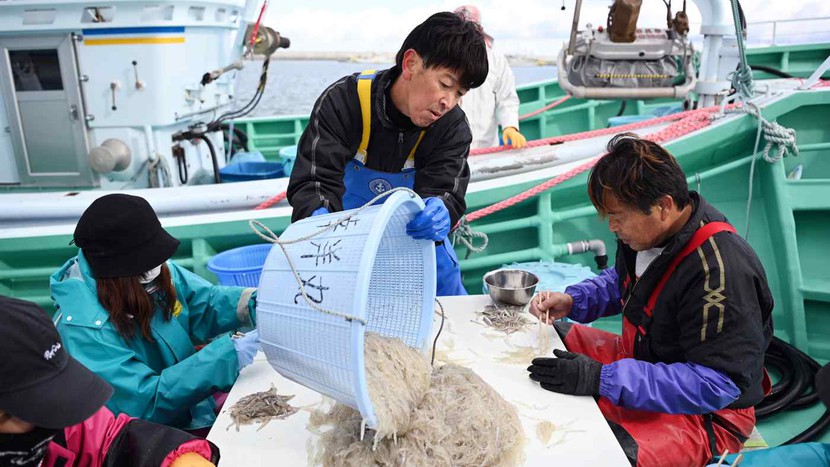 EU sắp dỡ bỏ lệnh cấm nhập khẩu hải sản từ Nhật Bản  - Ảnh 1.