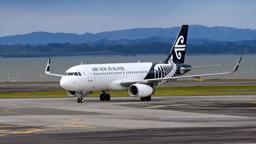 Vì sao Air New Zealand cân hành khách trước khi lên máy bay? - Ảnh 2.