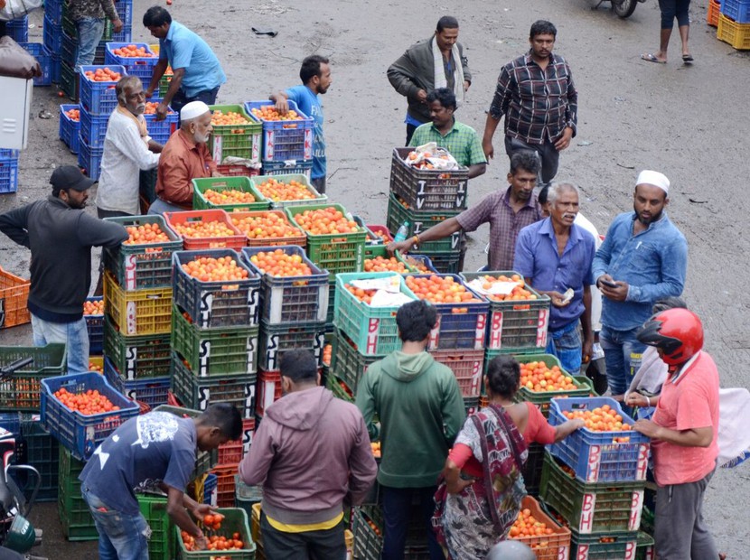 Giá cà chua tăng 700% tạo ra vận may cho nông dân Ấn Độ - Ảnh 2.