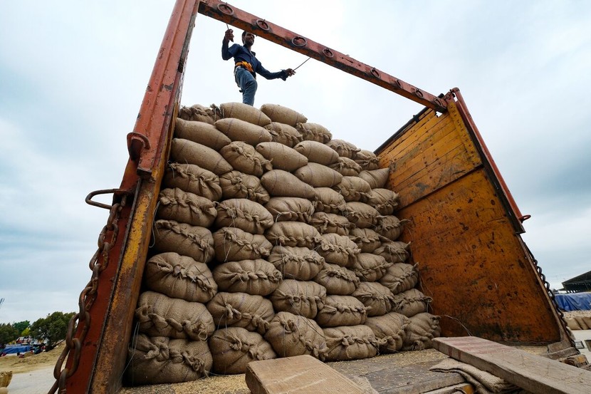 Lệnh cấm xuất khẩu gạo của Ấn Độ tác động ra sao? - Ảnh 2.
