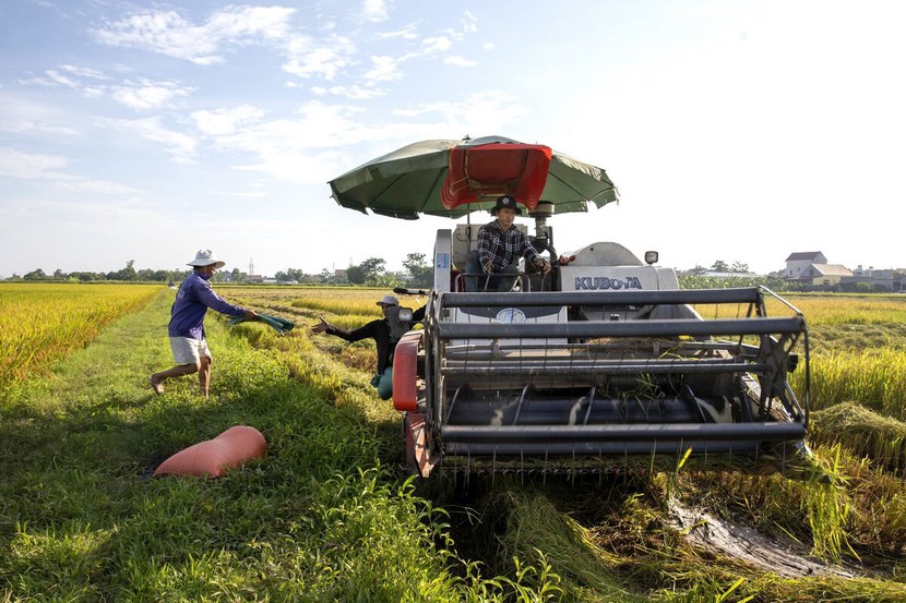 Giá gạo tăng cao làm 'căng' ngân sách cho hàng tỷ người ở châu Á, châu Phi - Ảnh 1.