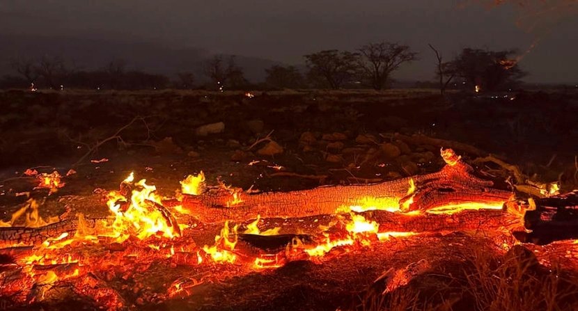 Cháy rừng như &quot;ngày tận thế&quot; ở Hawaii, giết chết 67 người.  - Ảnh 3.