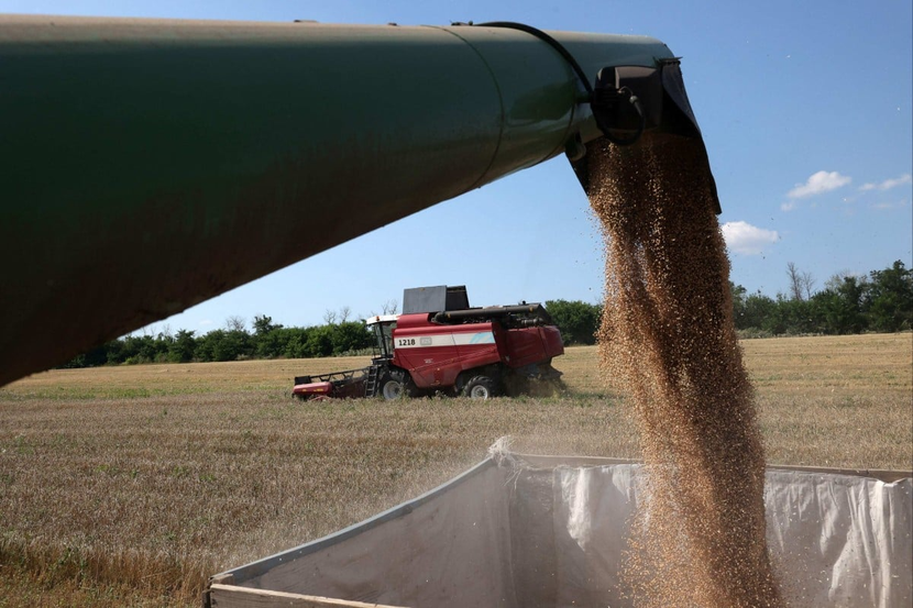 Vận chuyển ngũ cốc 'đắt đỏ' từ Ukraina đe dọa nguồn cung lương thực của châu Á - Ảnh 1.