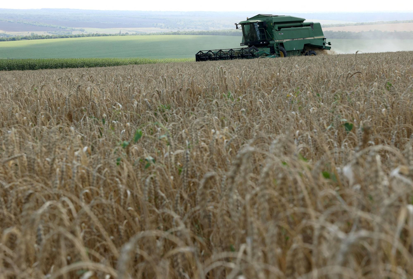 Vận chuyển ngũ cốc 'đắt đỏ' từ Ukraina đe dọa nguồn cung lương thực của châu Á - Ảnh 4.