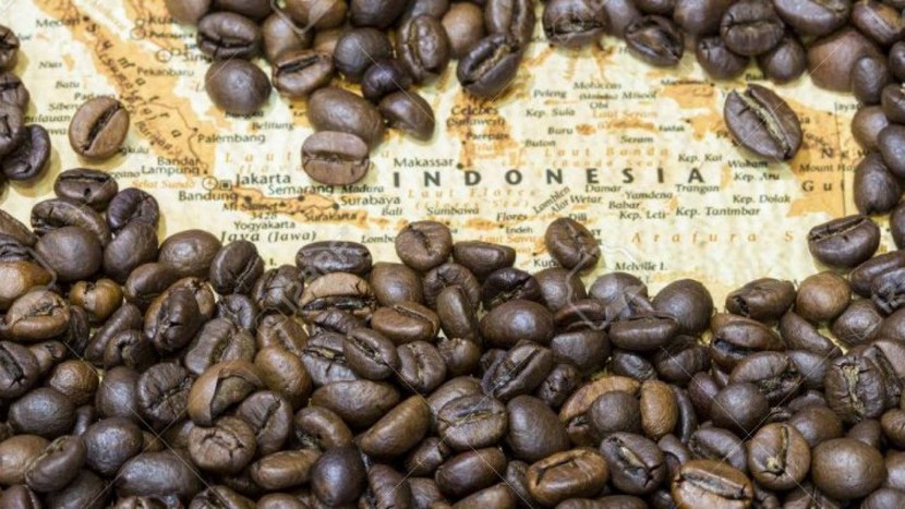 Từ mưa nhiều đến khô hạn, cà phê Indonesia đối mặt với El Nino cực đoan - Ảnh 2.