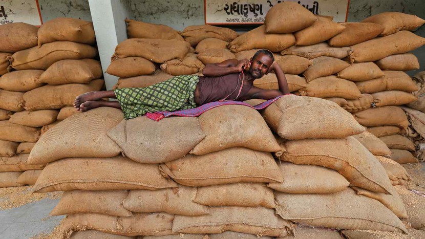 Ấn Độ có nhiều lựa chọn tốt hơn ngoài việc cấm xuất khẩu gạo - Ảnh 1.