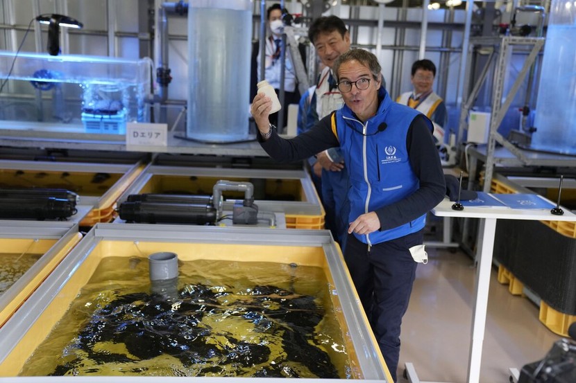 Khoa học đằng sau kế hoạch xả nước thải hạt nhân ra biển của Nhật Bản - Ảnh 3.
