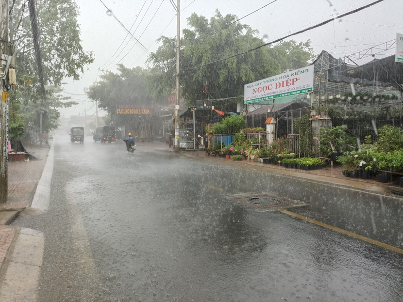 Dự báo thời tiết ngày mai 29/8: Nam Bộ có mưa to - Ảnh 1.