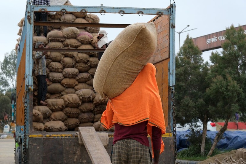 Ấn Độ thắt chặt hơn nữa xuất khẩu gạo, đe dọa nguồn cung toàn cầu - Ảnh 2.