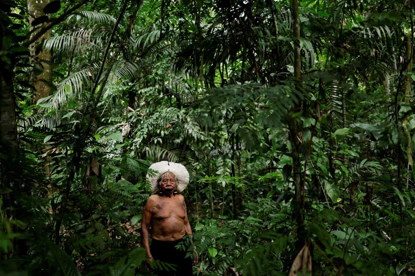 Người Amazon cảnh báo về thảm họa nếu nạn phá rừng không dừng lại - Ảnh 1.