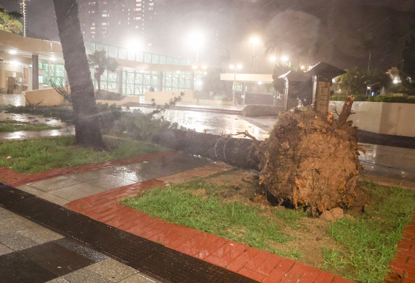 Hồng Kông nâng cảnh báo bão Saola lên mức cao nhất - Ảnh 2.