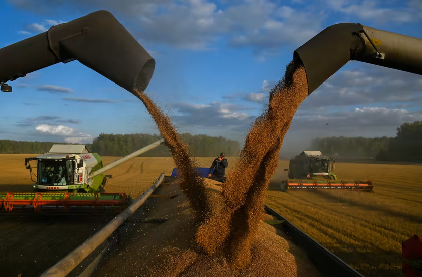 G20 kêu gọi xuất khẩu ngũ cốc Ukraina để giảm lạm phát - Ảnh 1.