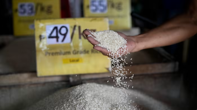 Tổng thống Philippines Marcos ấn định trần giá gạo - Ảnh 1.