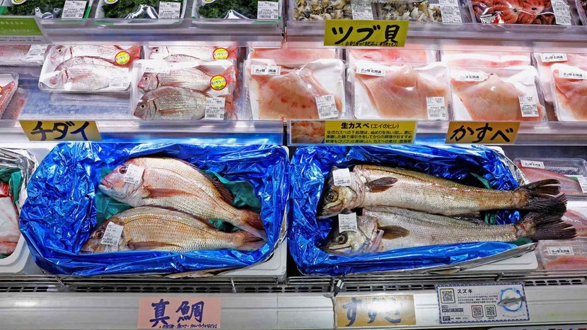 Xuất khẩu thủy sản Nhật Bản sang Trung Quốc giảm 76%  sau lệnh cấm - Ảnh 1.