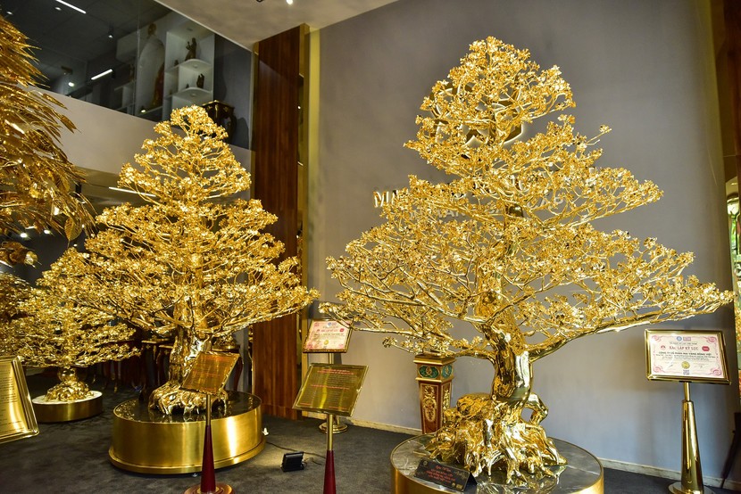 Chiêm ngưỡng cây bồ đề mạ vàng, nặng hơn 1 tấn trị giá 26 tỷ đồng ở TP.HCM- Ảnh 8.