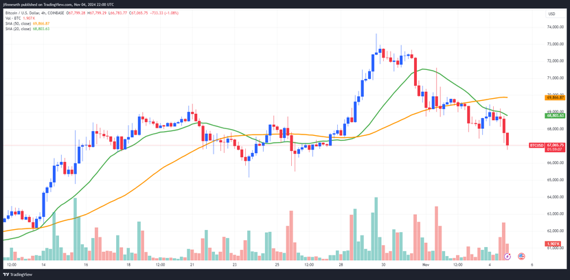 Nhà đầu tư chuẩn bị cho sự biến động của Bitcoin và vàng- Ảnh 1.