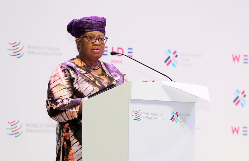 Tổng Giám đốc WTO: Trao quyền cho phụ nữ là nền kinh tế thông minh- Ảnh 1.