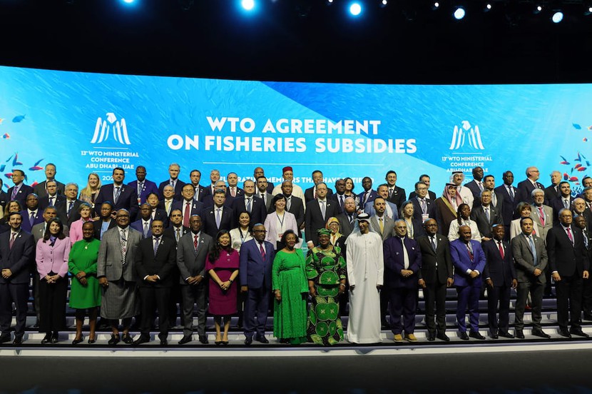WTO kêu gọi các nước sớm đạt được thỏa thuận toàn diện về trợ cấp nghề cá- Ảnh 2.
