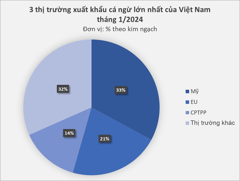 Xuất khẩu cá ngừ Việt Nam tăng phi mã, chinh phục thị trường thế giới- Ảnh 2.