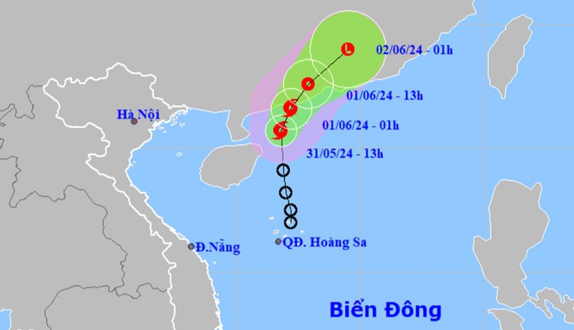 Áp thấp nhiệt đới mạnh lên thành bão số 1 trên Biển Đông- Ảnh 1.