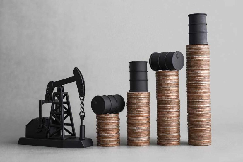 OPEC có quá lạc quan về nhu cầu dầu của Trung Quốc?- Ảnh 1.