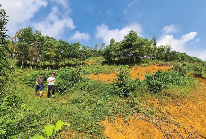 Đầu tư bất động sản: Lọc thông tin giữa vùng nhiễu động- Ảnh 1. Đầu tư bất động sản: Lọc thông tin giữa vùng nhiễu động- Ảnh 1.