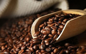 Xuất khẩu cà phê tháng 9 giảm