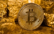 Giá Bitcoin hôm nay 25/5: Bitcoin có thể xuống 8.000 USD