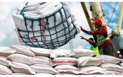 Thị trường nông sản 26/5: Giá gạo trên thị trường thế giới bật tăng