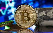 Giá Bitcoin hôm nay 16/8: Hạ nhiệt nhưng vẫn giữ mốc 24.000 USD