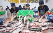Mỹ giữ nguyên mức thuế chống bán phá giá với cá tra Việt Nam
