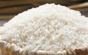 Philippines tạm ngưng nhập khẩu gạo, Việt Nam không chịu ảnh hưởng lớn